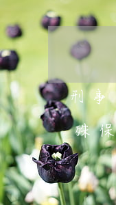 刑事訴訟過(guò)程中需要檢察院的特殊保護(hù)有哪些途徑？